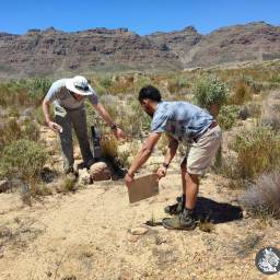 26_CB_fieldwork_-_camera_take_down_original